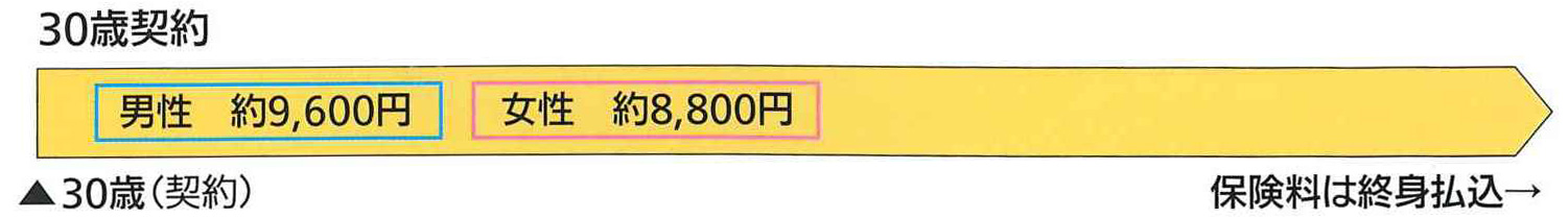 終身タイプ 終身払込タイプの図